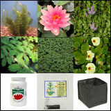 small water garden complete collection | 25 - 250 gallons