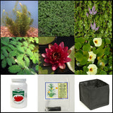 small water garden complete collection | 25 - 250 gallons