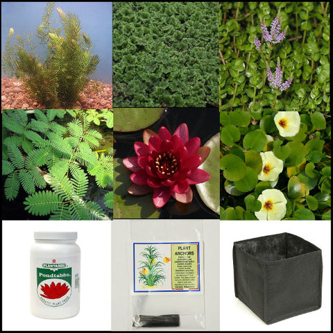 small water garden complete collection | 25 - 250 gallons