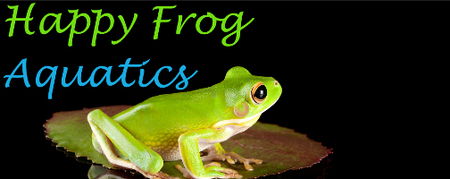 Happy Frog Aquatics